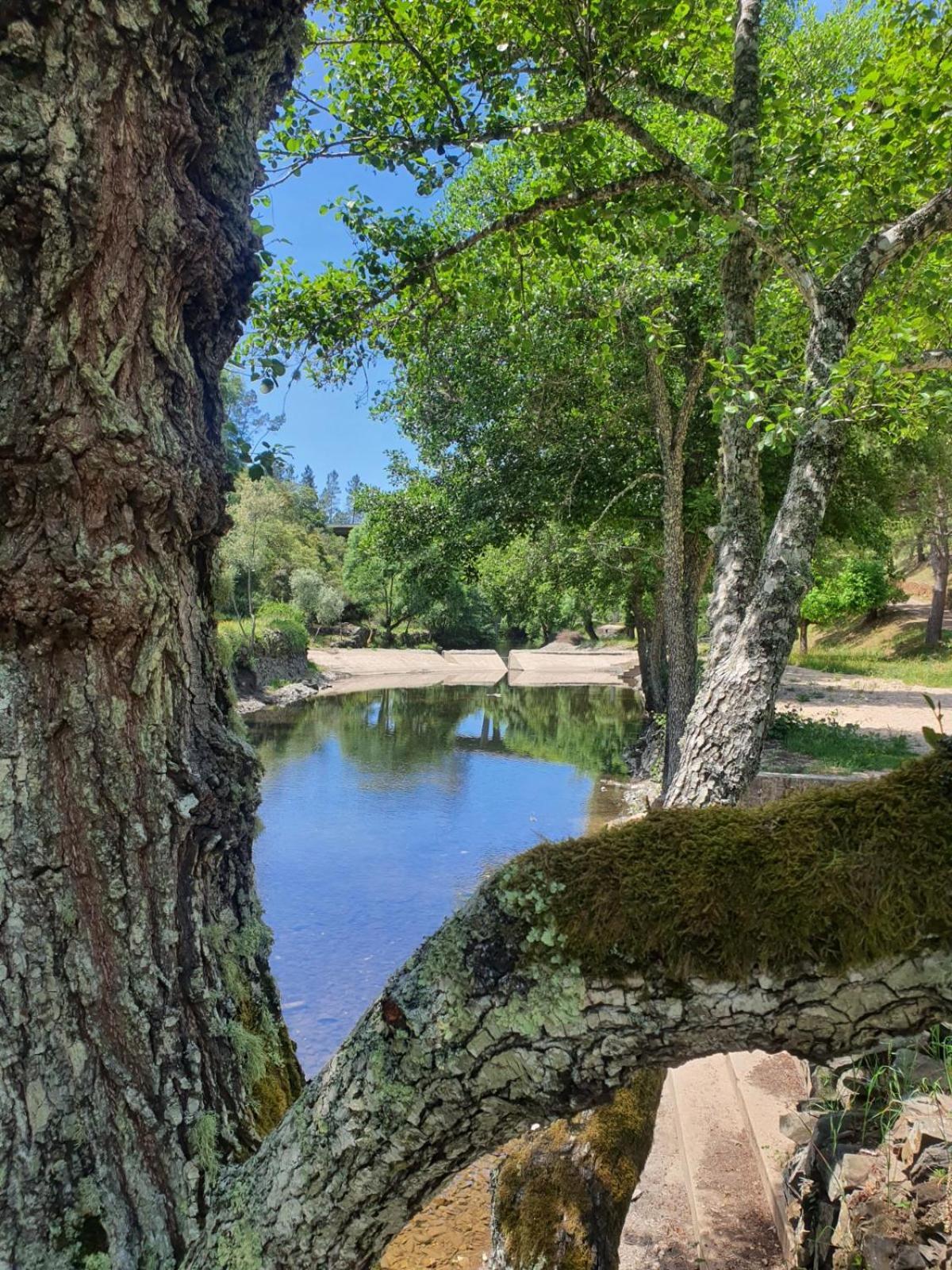 Quinta Dos Avos Lourenco เซอร์เทิน ภายนอก รูปภาพ